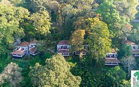 The Tall Trees Resort Munnar